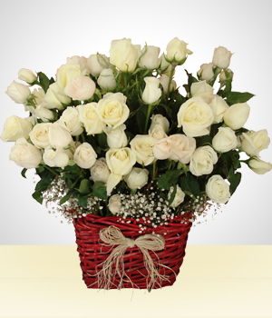 Presentes de Luxo - Impacto Champanhe - 100 Rosas Brancas