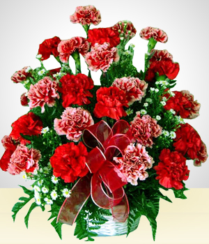 Arranjos de Flores - Vermelho Ilusão: Cravos Vermelhos e Cor de rosa