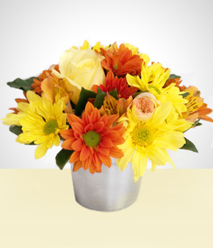 Presentes para Homens - Florista: Flores do Campo em Vaso de Alumínio