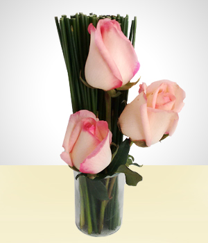 Flores - Valentines: 3 Rosas em vaso de vidro